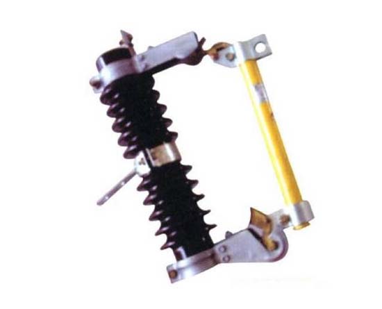 跌落式熔断器RW4-10 100A